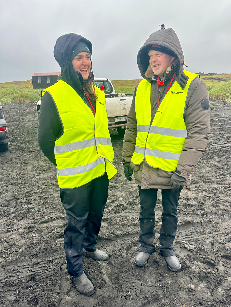 Our amusing guides