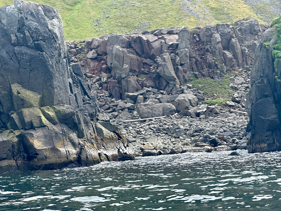 Driftwood gathers in a cove