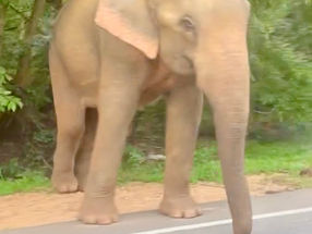 From battle ground to serenity