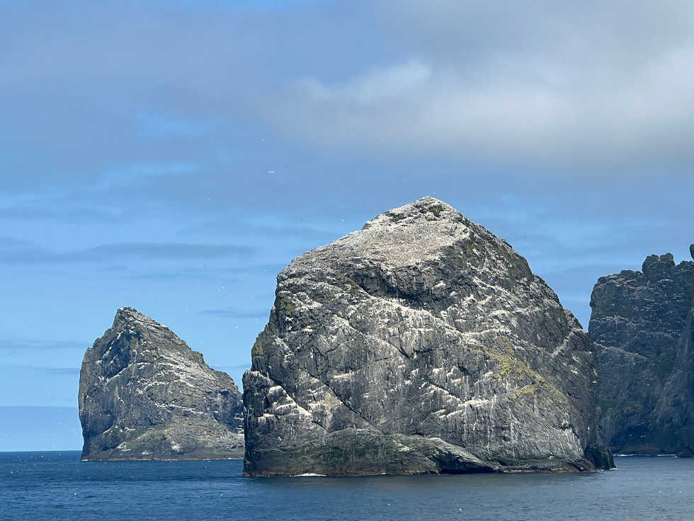 Stacks covered in guano