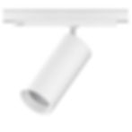 Solen White