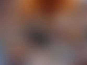 L'art de la talavera: Céramique mexicaine