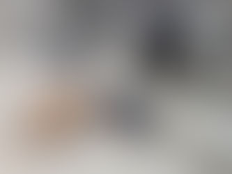 Réinsertion canine à Leh!