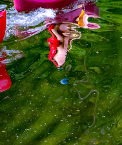 5. kayak put-in reflections