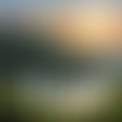 Renewing Your Strength to Overcome Life's Challenges