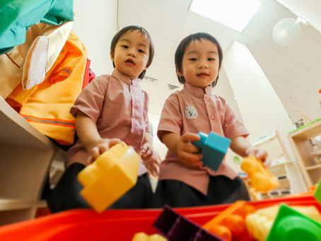 Understanding Social-Emotional Development in Infants: The Sunflower Approach