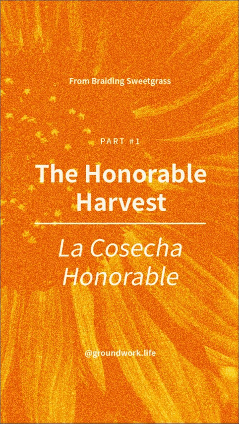 harvest.jpeg
