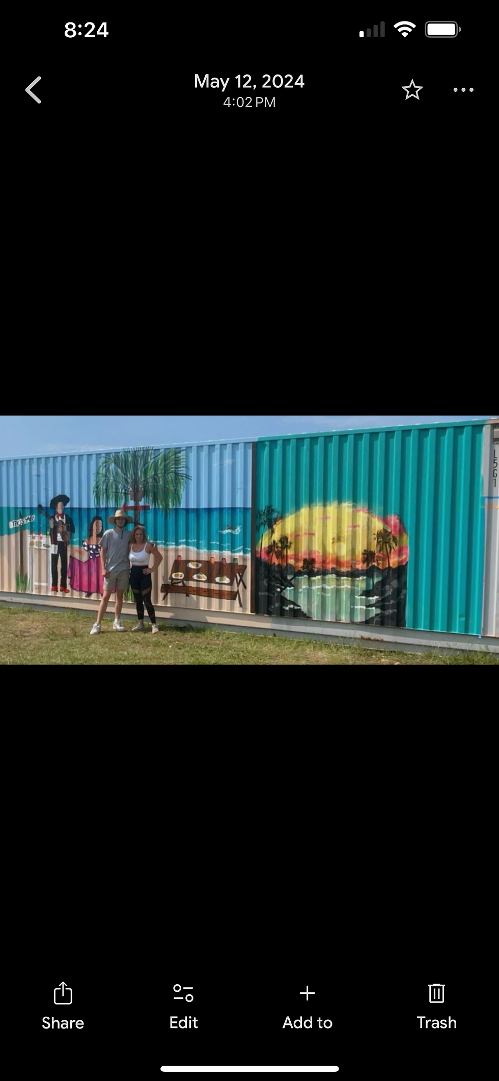 Thumbnail: More murals I’ve done