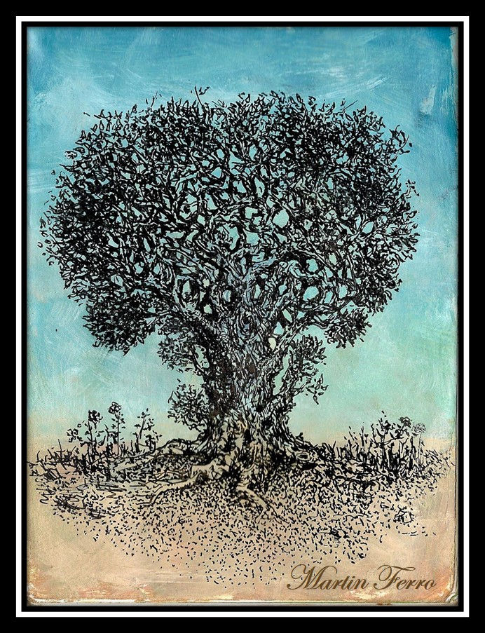 ancient tree - arbol antiguo