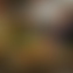 Colorful table for the data team to sit around