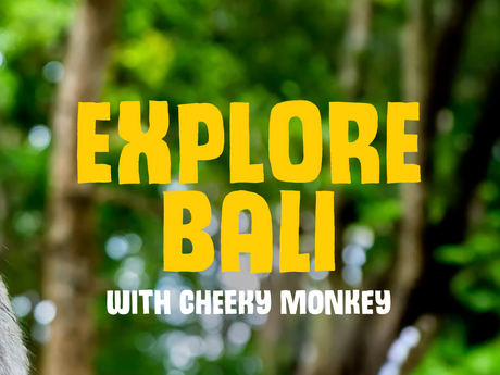 #street-tech : entrepreneur starting kit