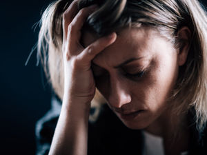 Projeto de Lei 1527/2015