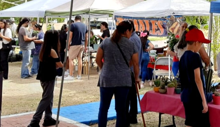 Disfrutan mexicalenses de la "Expo Plantas"