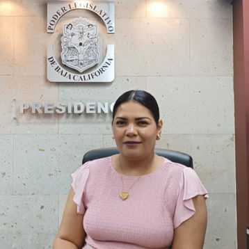 Presentan iniciativa para que la difusión del arte y la cultura se lleven a todos los niveles de educación