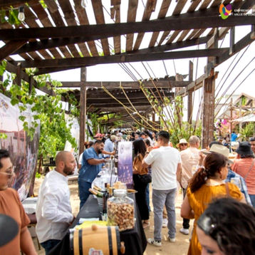 "Un día entre Viñedos”: evento gratuito y 100% familiar, en el marco de “Viñadas 2025”