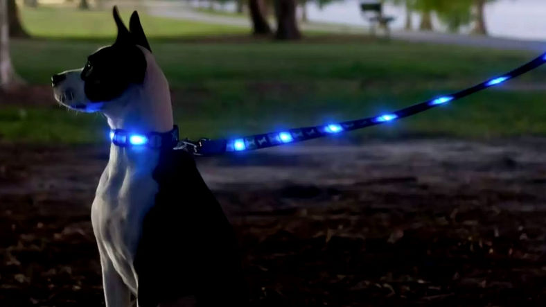 Habrá “Night Market edición Mascotas” en el Parque Cri Cri