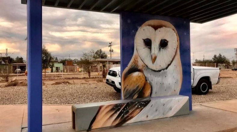 Seis artistas locales, dieron vida a 6 paradas de autobús del Corredor Verde