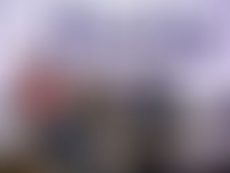 Presentan libro sobre el proceso electoral de 2024