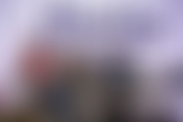 Presentan libro sobre el proceso electoral de 2024