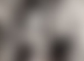 “Dragones Celestiales”, luz y movimiento en homenaje a Eduardo Auyón