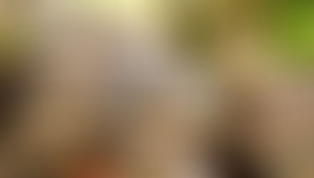 Este sábado, habrá acopio de libros y aparatos electrónicos en el Vicente Guerrero