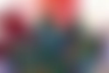 “Cultura a Domicilio” en Ángeles de Puebla