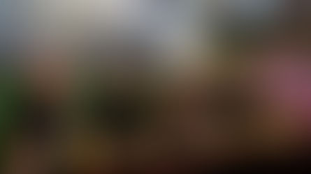 Todo listo para dar paso a la señal 11/11 del Mxli Beer Fest 2023