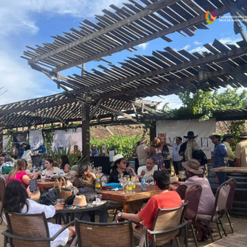 Anuncian “Viñadas 2025” con una decena de eventos en el Valle de Guadalupe