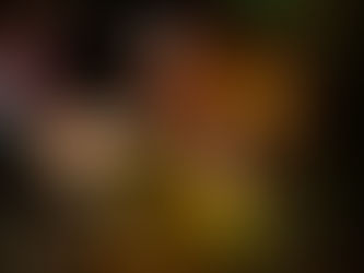 Invitan a la Colecta Navideña para la niñez Pa Ipai y Cucapá