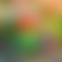 Realizarán edición “Plants & Kombucha” en el Mexicali Market