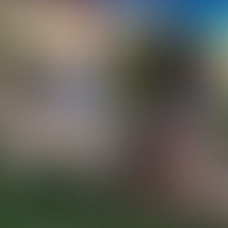 Mascotas disfrutaron de las áreas verdes del Parque Vicente Guerrero