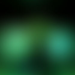 Disfrutaron familias de oferta de semana santa en el Vicente Guerrero