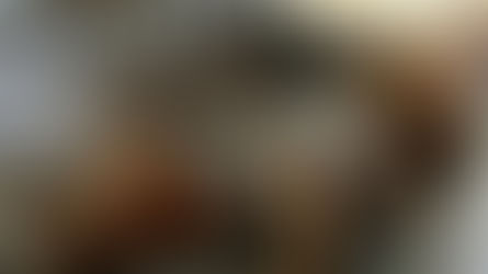 Encontrando a mi Humano III, con poca afluencia, pero grandes corazones buscando a sus mascotas.