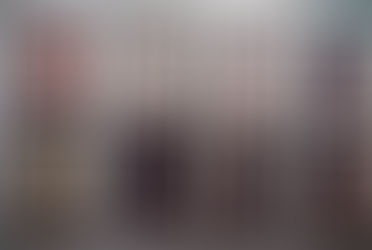 Reconocen las obras de fotógrafos destacados en Salón Anual 52