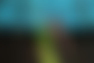 "Todo Cambia", DLD y la nueva normalidad en Fiestas del Sol