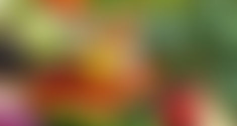Invita Secretaría del campo al “Día del Campo en tu Ciudad”*