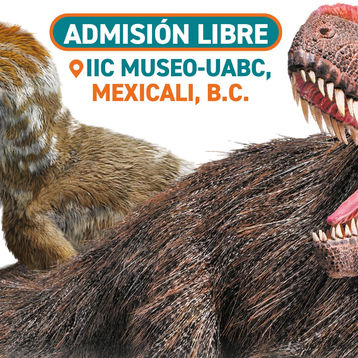 Falta poco para que la exposición “Dinosaurios entre nosotros” llegue al IIC-Museo UABC