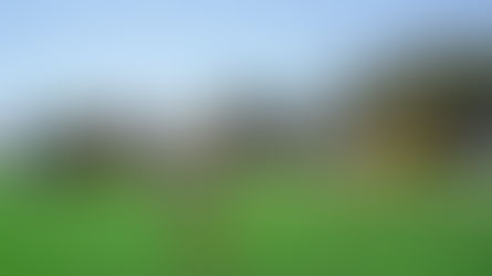 Abrirá sus puertas este viernes el Parque Laguna México