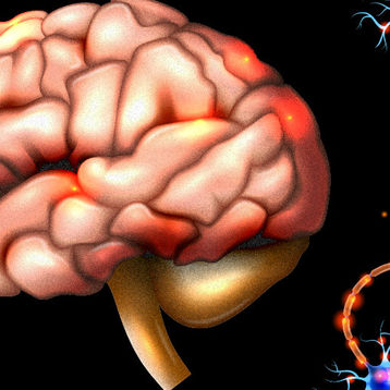 Inició la Semana del Cerebro 2025 en UABC