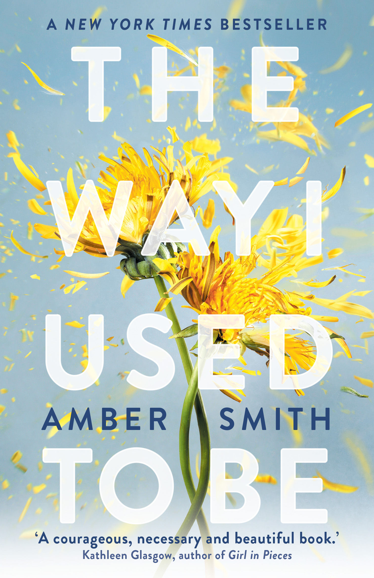 The Way I Used to Be - Amber Smith