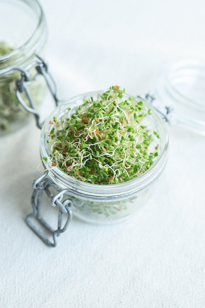 Graines germées brocolis - Primesautier Traiteur Vegan