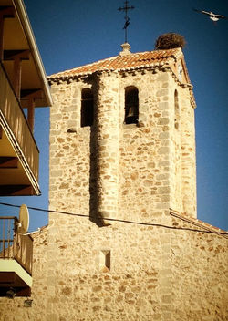 537566_10152367580580252_1569981607_n