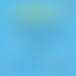 Reunião para associados / junho