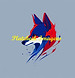 PI0348 -  desenho do rosto de um lobo.jpg