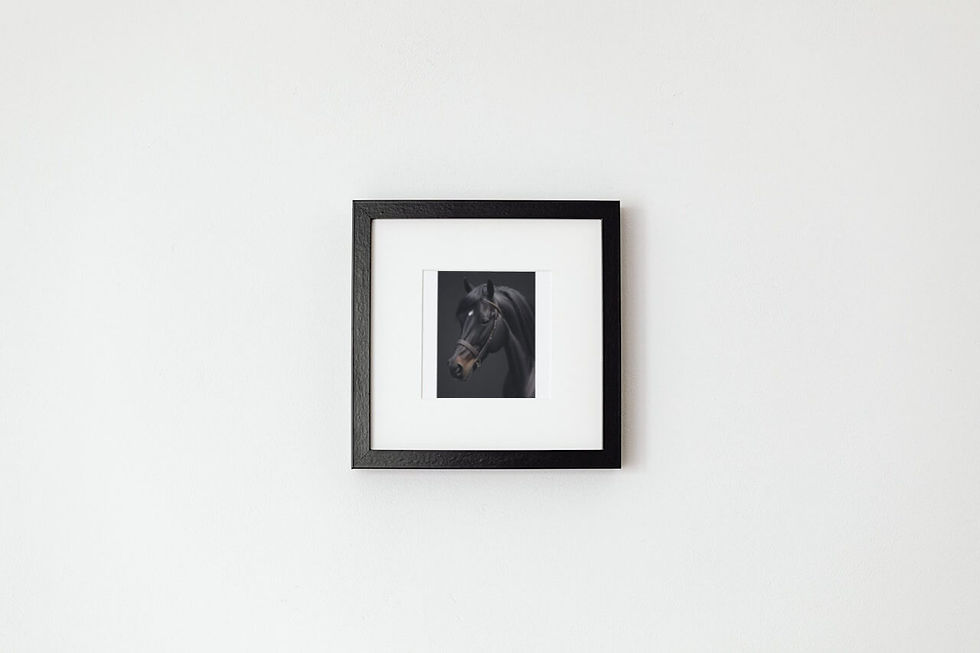 Miniatura: PI0032 - Quadro de um cavalo com moldura de madeira