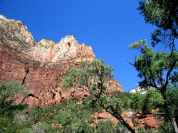 Zion0024a