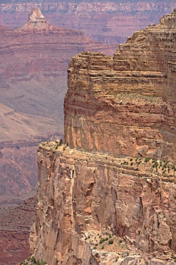 Grand Canyon 58