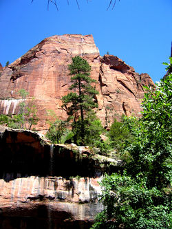 Zion0033a