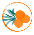 Little berries logo