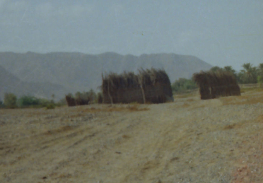 1963 Shimal